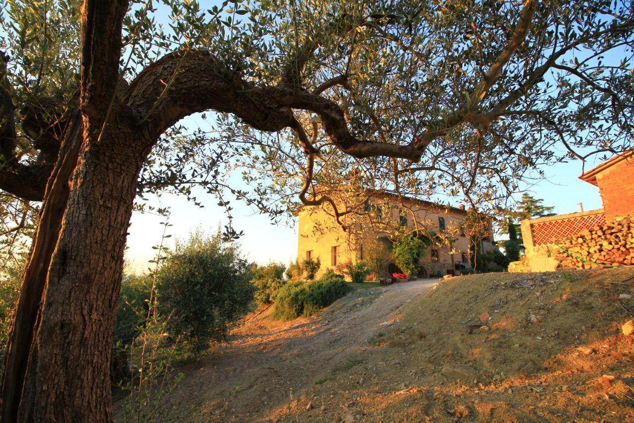 Апартаменты Casolare Marconi Паникале Экстерьер фото